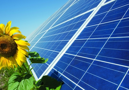 Czech companies are interested in implementing projects in renewable energy field of Armenia